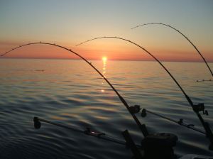 sunrise-fishing